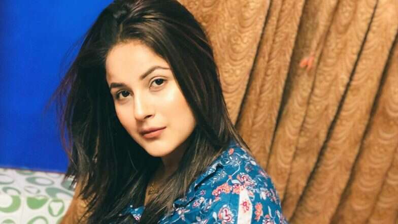 Shehnaz Gill Wiki, Bio, Birthday, Age, Height, Boyfriend, Family