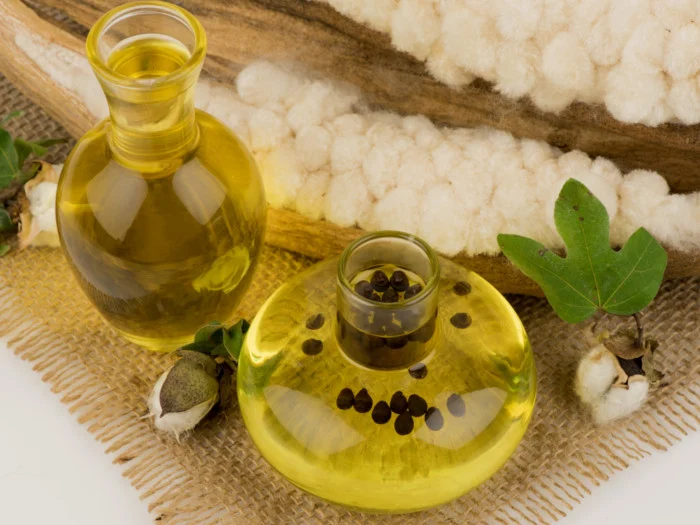 cotton-seed-oil-and-its-benefits